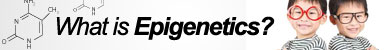 Epigentek_What is Epigenetics_wie-banner2.jpg